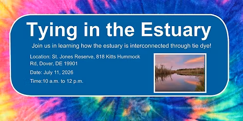 Tying in the Estuary