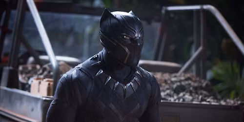 Black Panther in Concert