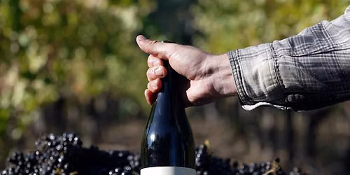 Weekly Tasting: The Vine Whisperer