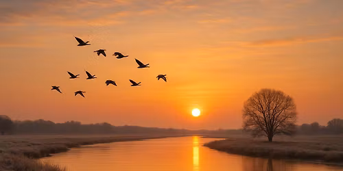 REIS DOOR DE TIJD IN NATUURGEBIED KONINGSSTEEN