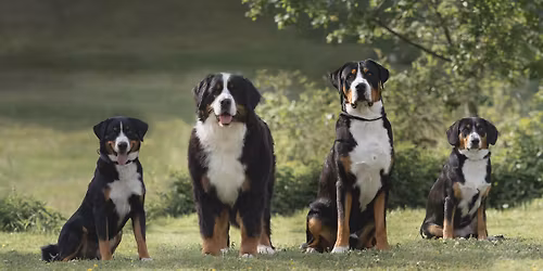 VSS\u00d6 Klubschau Spital am Pyhrn