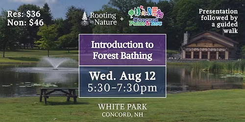 Introduction to Forest Bathing + Presentation