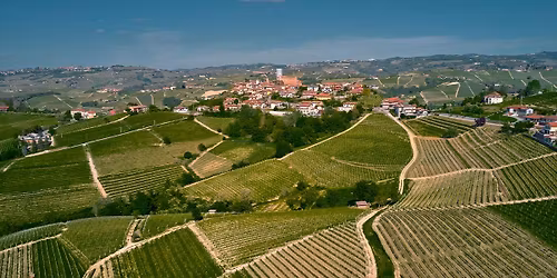Italiano - 2026 FESTA DELLA SALUTE PER TUTTI A RODDI (CN) ESPERIENZA DA NON PERDERE! 