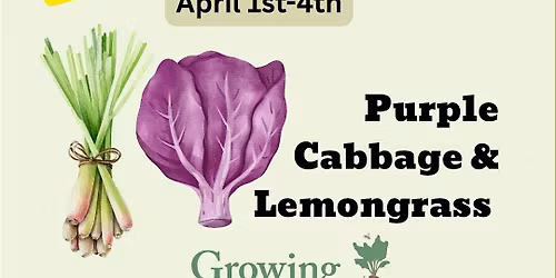 Urban Farm Workshops LEMONGRASS & PURPLE CABBAGE