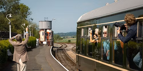 Morning Bird-Song Tours