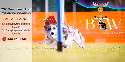 BTW:n Marraskuun kisat \/ BTW:s November t\u00e4vlingar