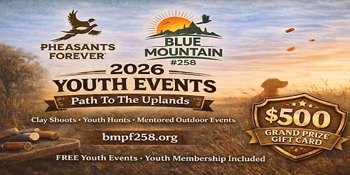 Youth Summer Series