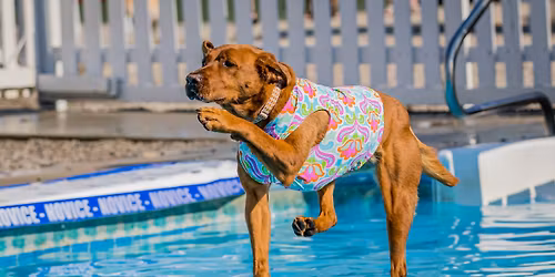 DockDogs\u00ae at Woofstock XII | TWI Frankfort | Wild Card Double Header!