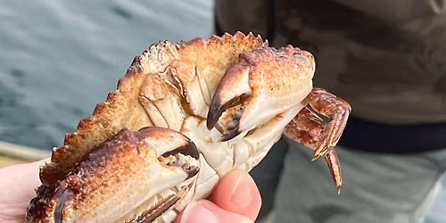 Introduction to Crustaceans