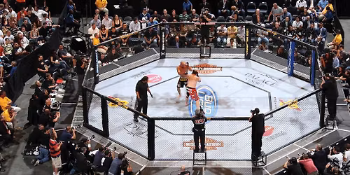 UFC - Ultimate Fighting Championship at T-Mobile Arena