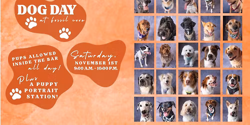 Dog Day at Fossil Cove!