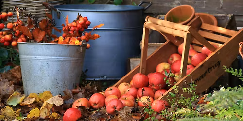 Growing fruit for beginners \u2013 including fruit trees and soft fruit