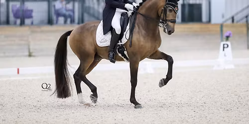 Denielle Gallagher Clinic! 