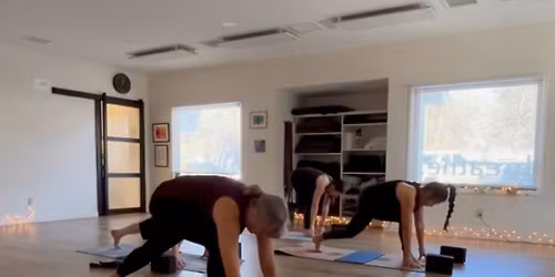 Planksgiving - Steady Flow