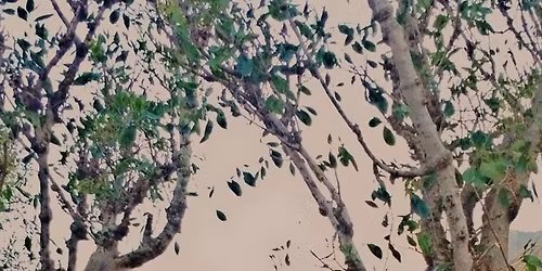 \u0631\u062d\u0644\u0647 \u0639\u0635\u0631\u064a\u0647 \u062d\u0648\u0644 \u0627\u0644\u0645\u0646\u0637\u0642\u0647 