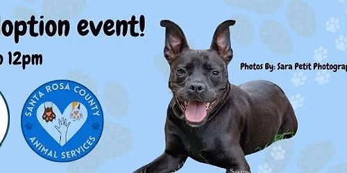 Doggie Days Adoption Event