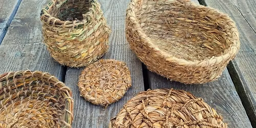 Forage and Make a Mat or Bowl from Plants
