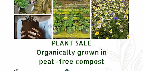 Plant Sale at Clitterhouse Community Garden