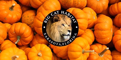 Wild-O-Ween