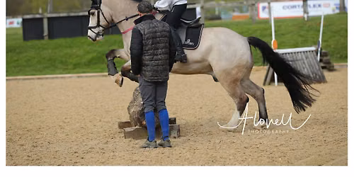 Hickstead XC Clinic 