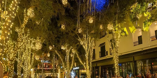 Naples Philharmonic - Holiday Pops at Hayes Hall at Artis - Naples