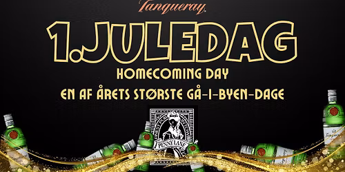 1.Juledag \/\/ "Alle de gamle ansigter vender hjem"