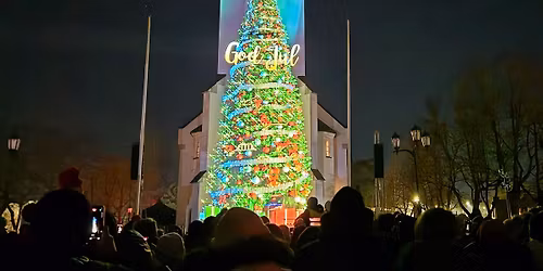 Julevideo p\u00e5 Domkirka