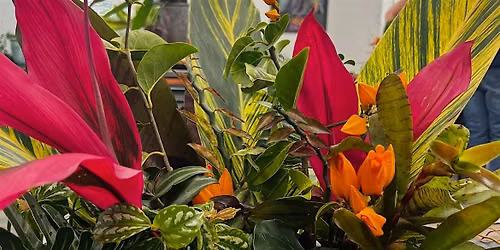 The Backyard Florist - Fall Edition