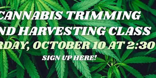 Cannabis Trimming\/Harvesting Class