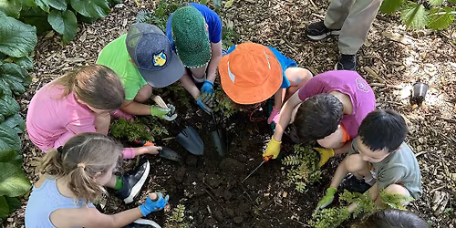 Cylburn Spring Break Nature Camp 2026