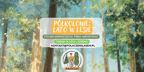 LATO W LESIE 2026  - turnus VI