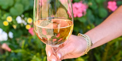 Pours & Pairings: Your Passport to Wine Country