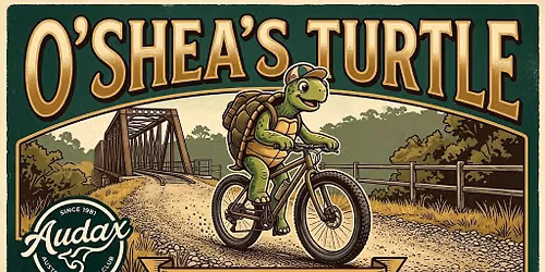 O'Shea's Turtle