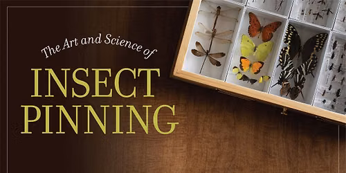 The Art and Science of Insect Pinning