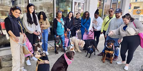 Barks & Bites: Doggie Crawl on the Atlanta Beltline