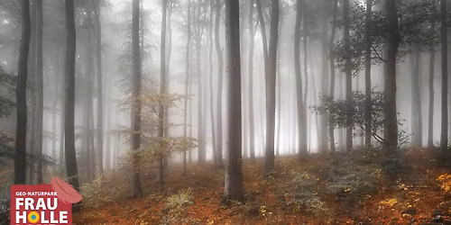 Kreative Fotowanderung Herbststimmung auf dem Hohen Mei\u00dfner