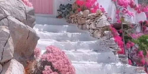 Tanztreff "PINK" PANORAMA,10.,FILMTEICHSTR.5 