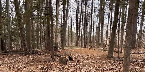 Awasiwi Growth League - Weekly Disc Golf League