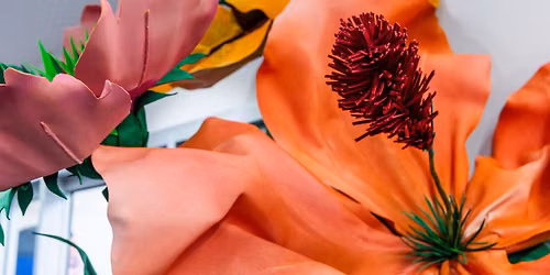 Floral Friday WORLD RECORD Attempt