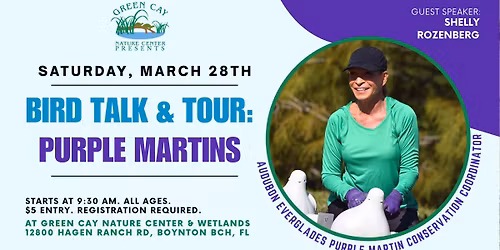Bird Talk & Tour: Purple Martins