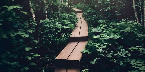 The Evangelical Recovery Journey