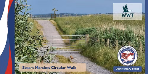 Steart Marshes Circular Walk