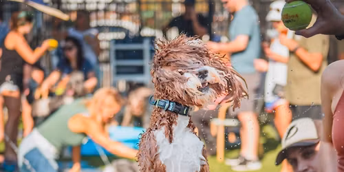 Doodle Meet Up at Mutts & Martinis