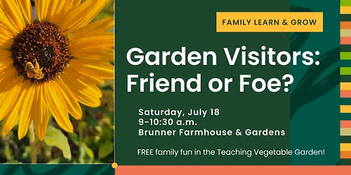 Garden Visitors: Friend or Foe?