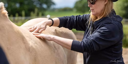 MASTERCLASS : KYALAMI, JOHANNESBURG