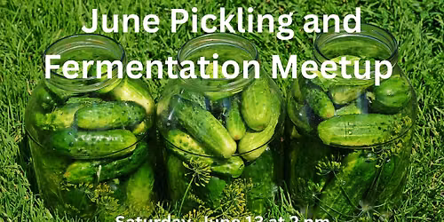 June Pickling and Fermentation Meetup