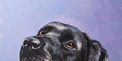 Paint Your Pet @ 12 Bones Brewing