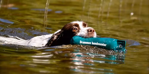 Apportkurs - til hverdag og fest