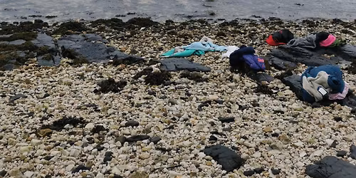 Scotlands Wild Medicine Winter wellness