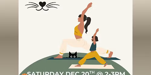 Cat Yoga and Cuddles